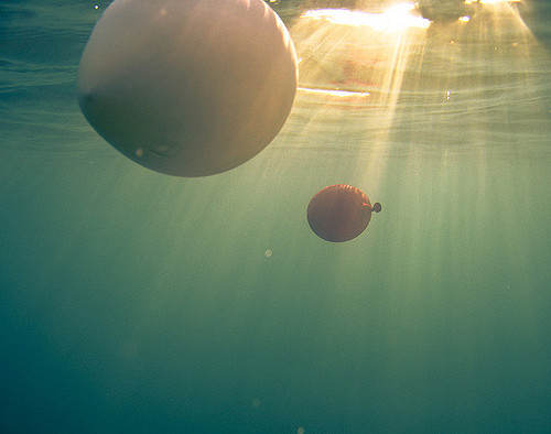 HD Quality Wallpaper | Collection: Humor, 500x394 Underwater Baloons