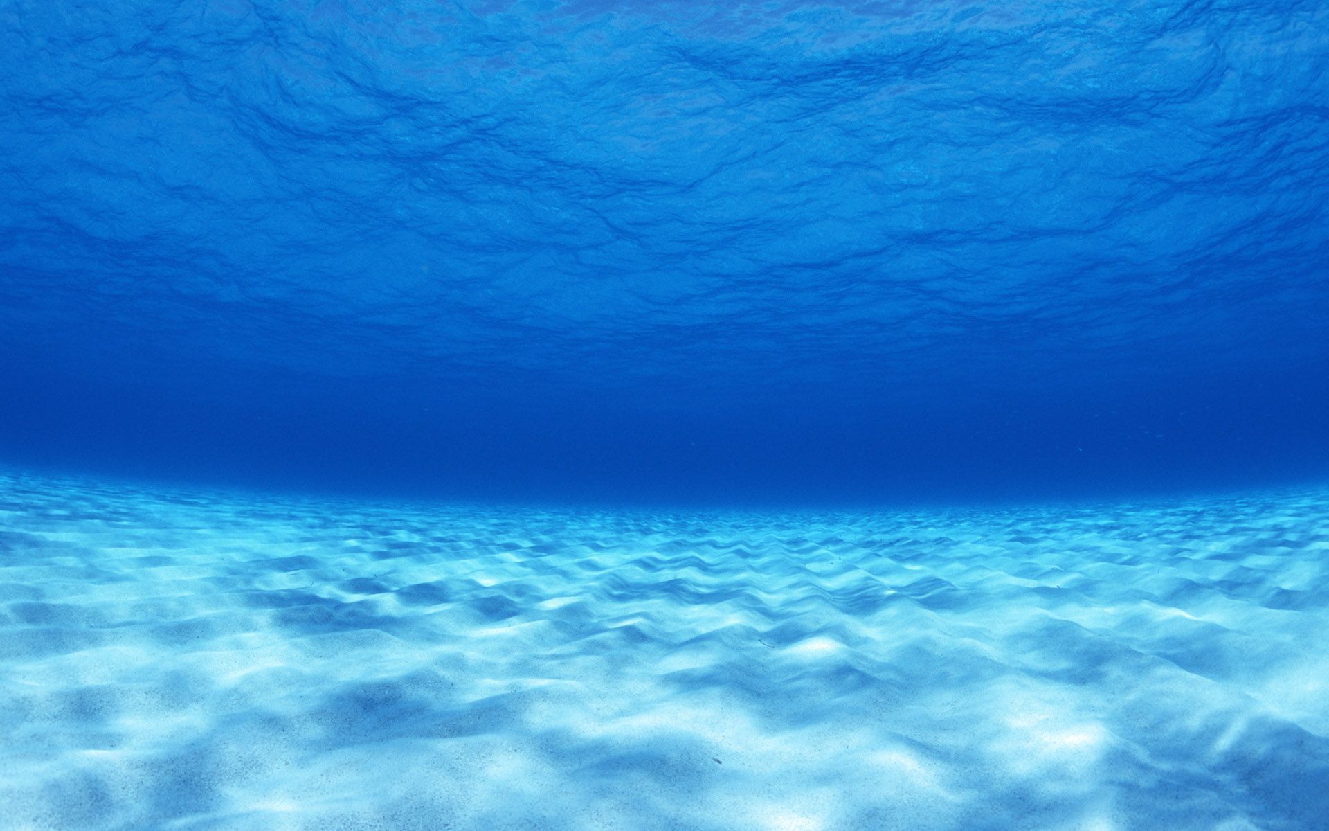 Underwater #19