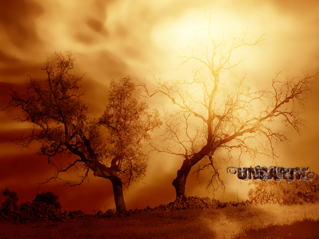 Unearth #5