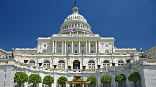 United States Capitol #8