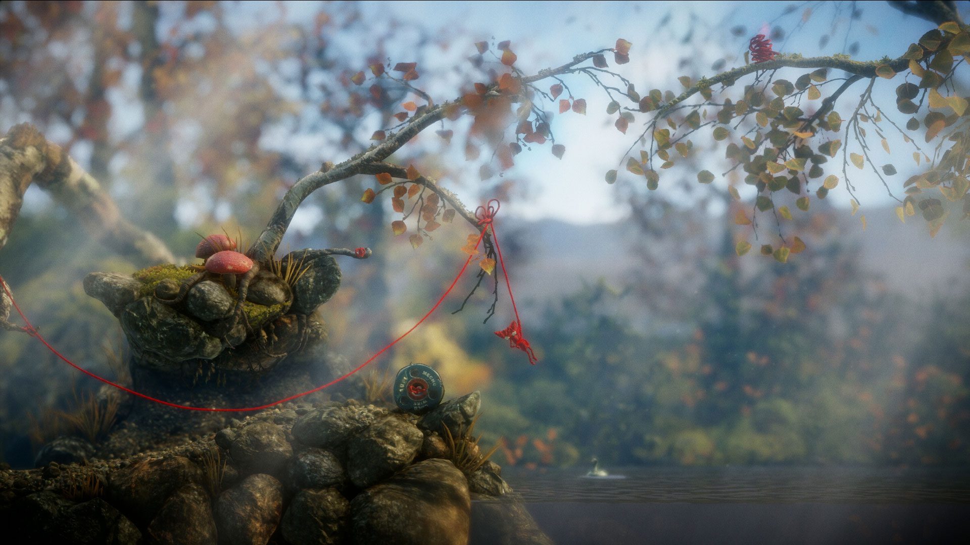 Nice Images Collection: Unravel Desktop Wallpapers