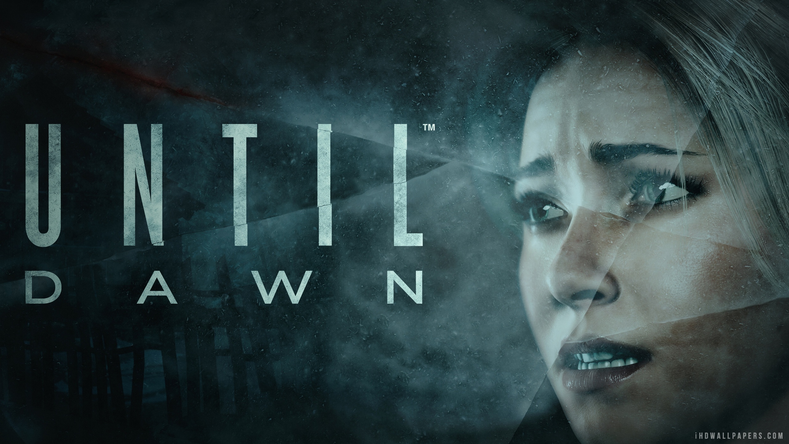 Until Dawn High Quality Background on Wallpapers Vista