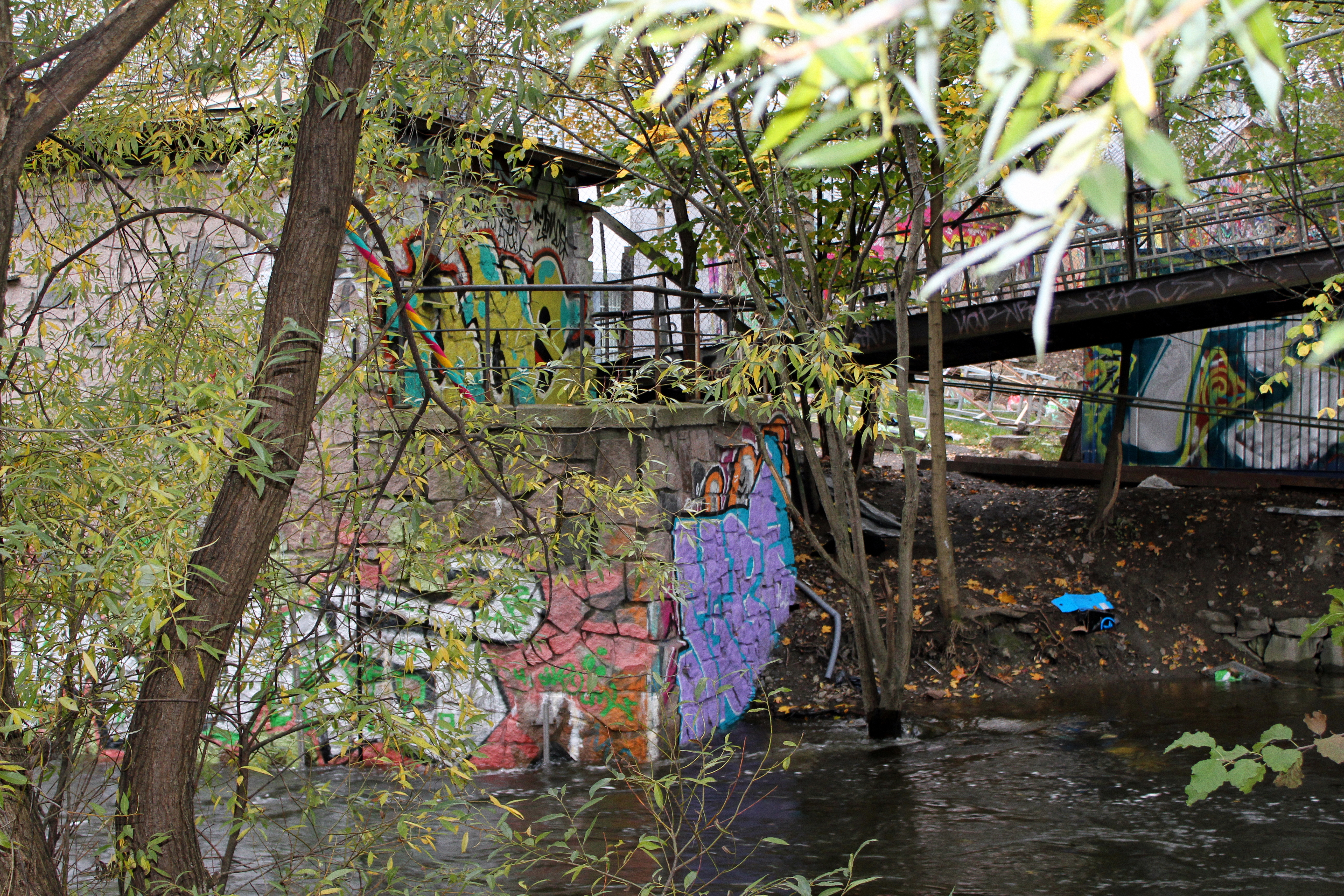 HQ Urban Jungle Wallpapers | File 12872.99Kb