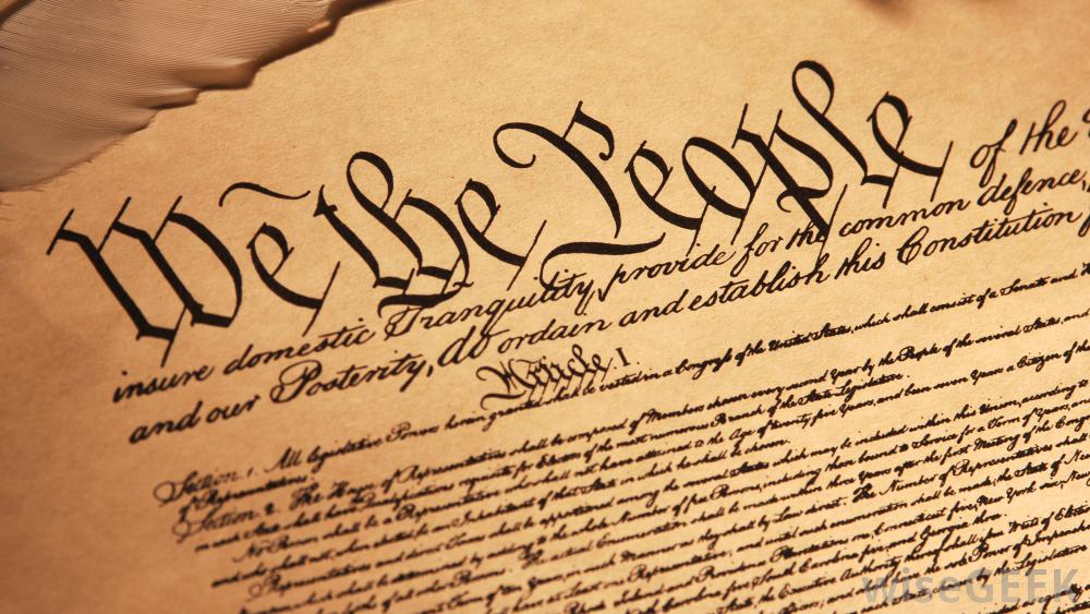 U.S. Constitution #7