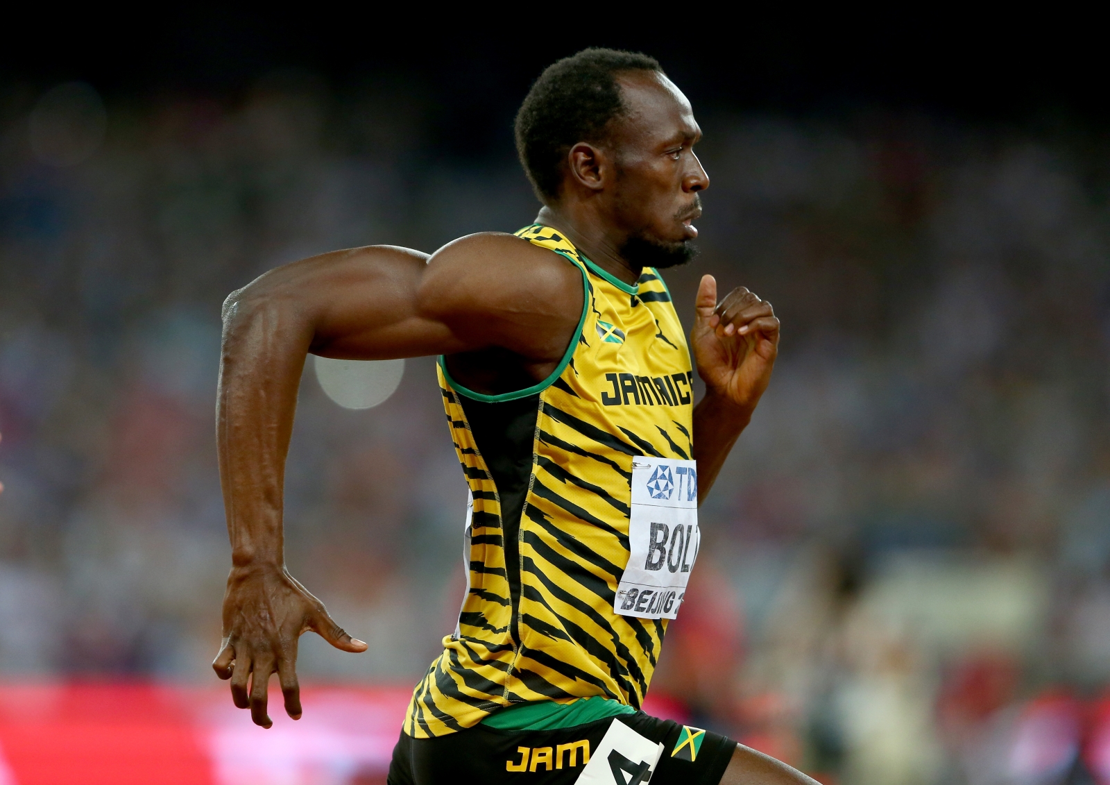 HD Quality Wallpaper | Collection: Sports, 1600x1131 Usain Bolt