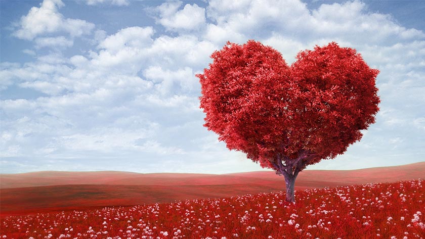 Nice wallpapers Valentine's Day 840x473px