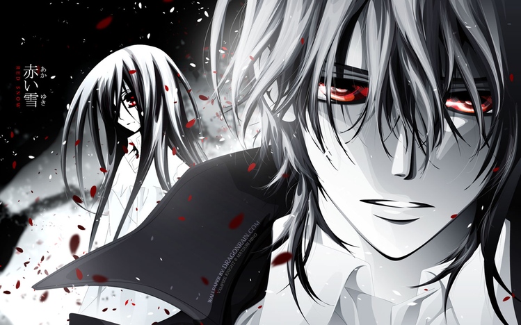 Nice Images Collection: Vampire Knight Desktop Wallpapers