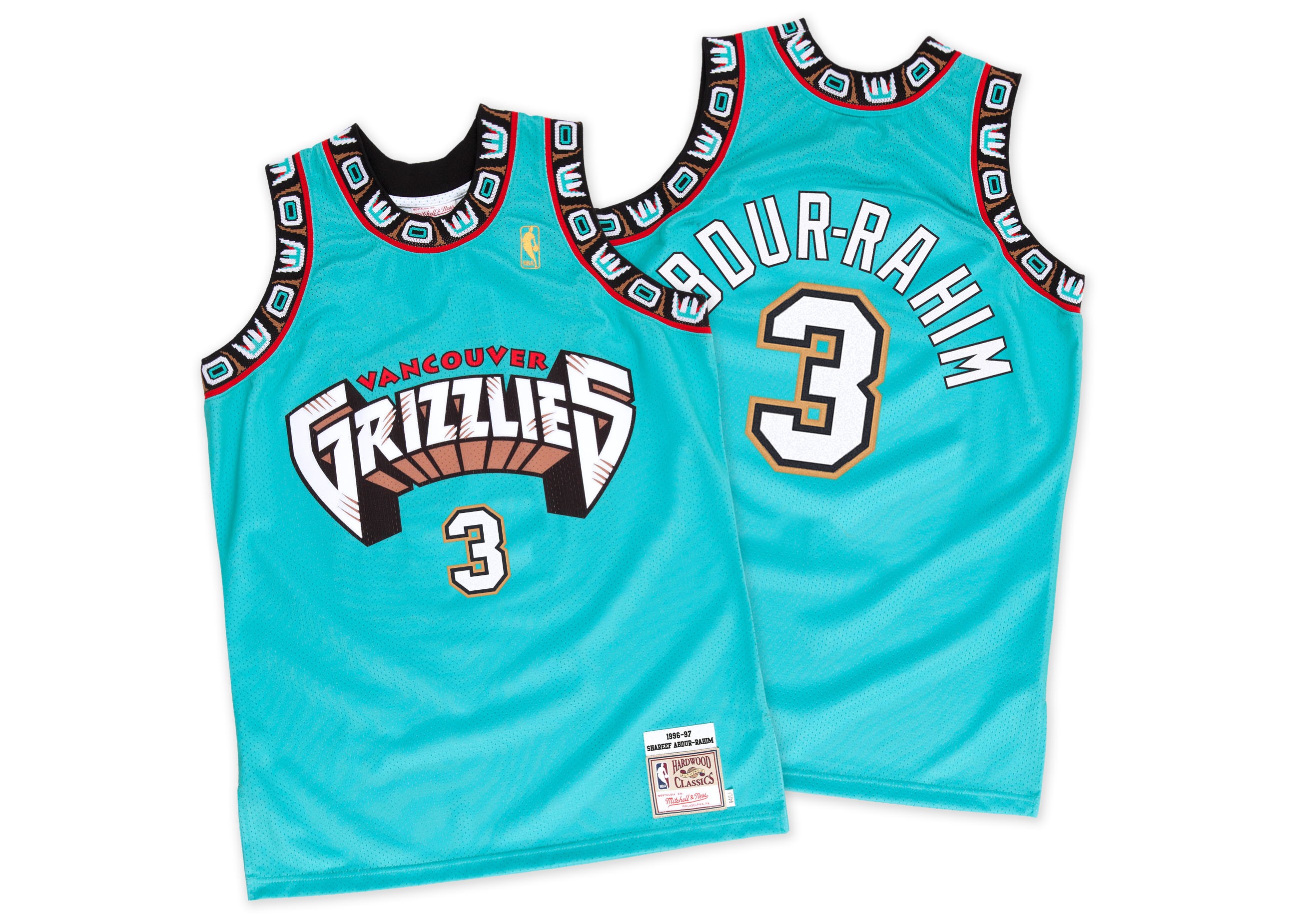 HD Quality Wallpaper | Collection: Sports, 2610x1850 Vancouver Grizzlies