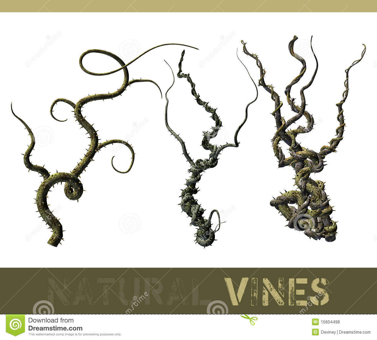 Vines #5