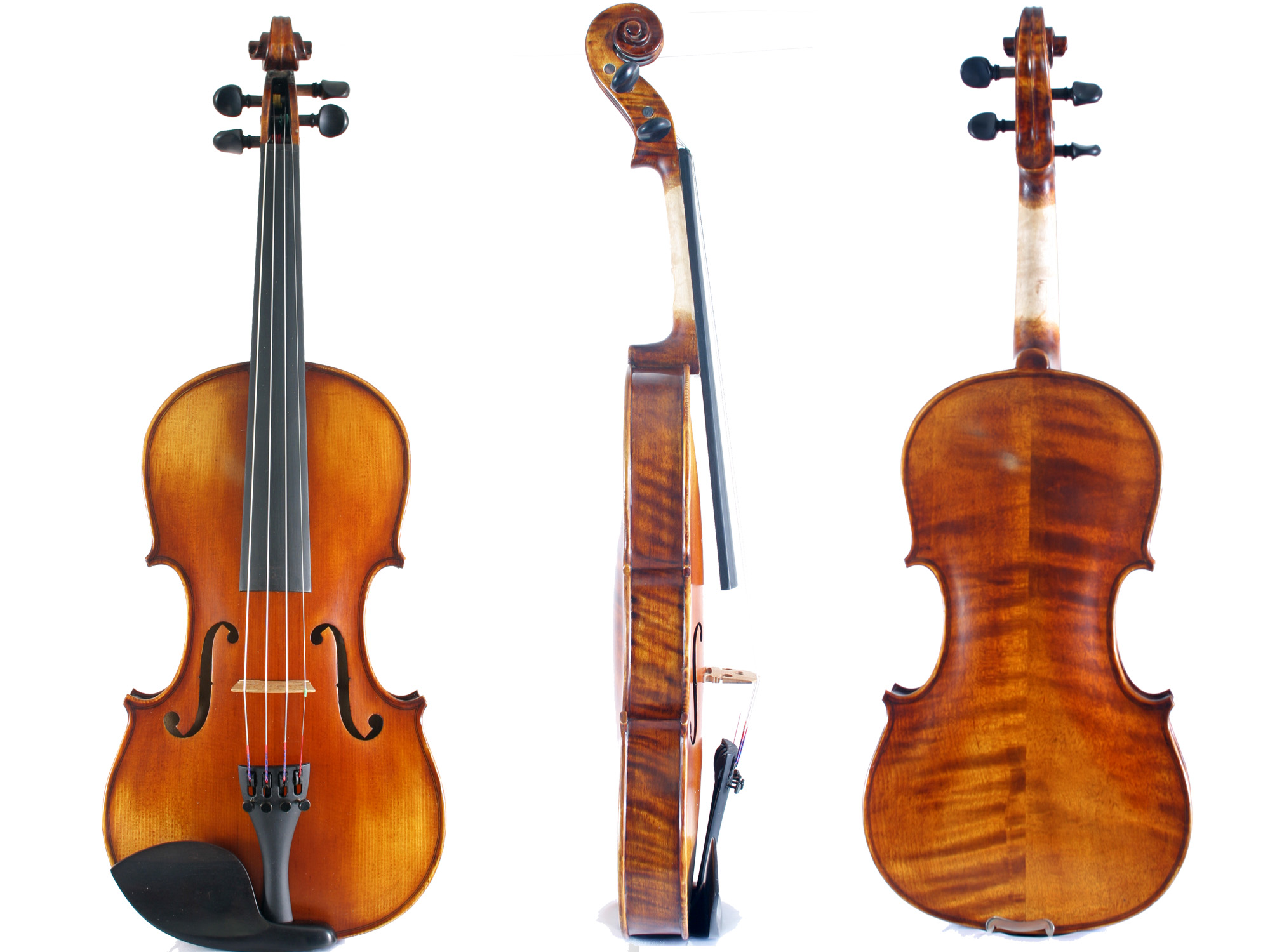Violin #6