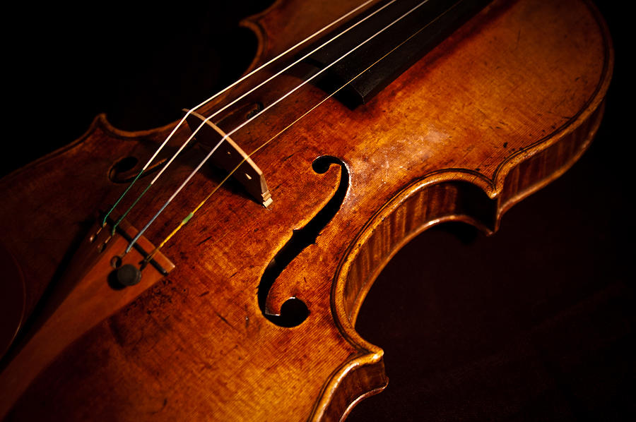 Violin #20