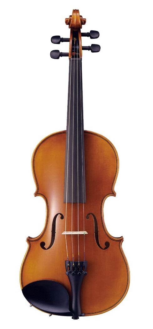 Violin #24