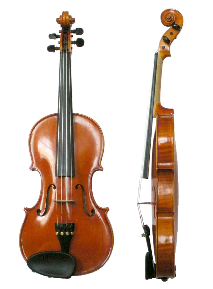 Violin #19