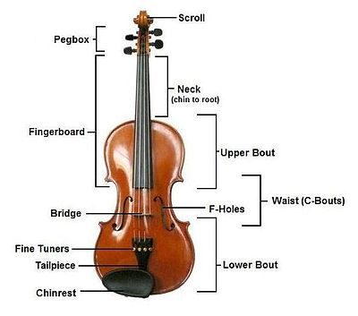 Images of Violin | 400x353