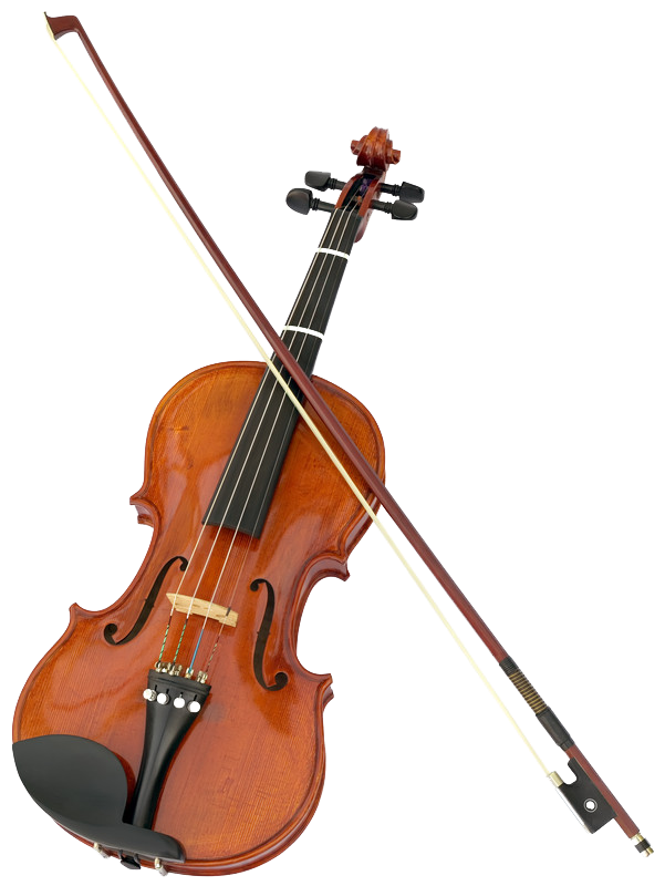 Violin #22
