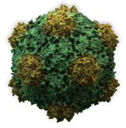 Virus High Quality Background on Wallpapers Vista