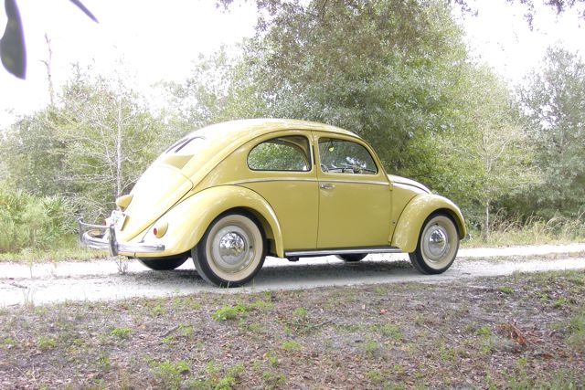 Volkswagen Split Window Beetle  #3