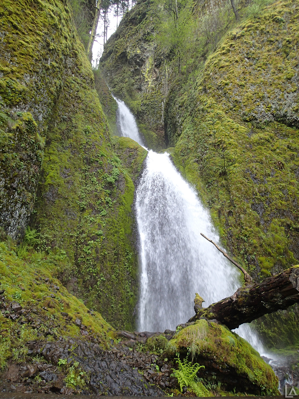 Amazing Wahkeena Falls Pictures & Backgrounds