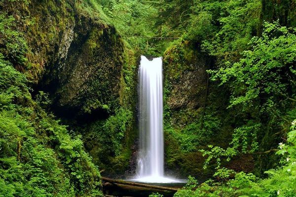 Amazing Wahkeena Falls Pictures & Backgrounds