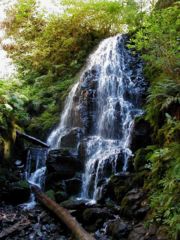 Wahkeena Falls Backgrounds, Compatible - PC, Mobile, Gadgets| 180x240 px