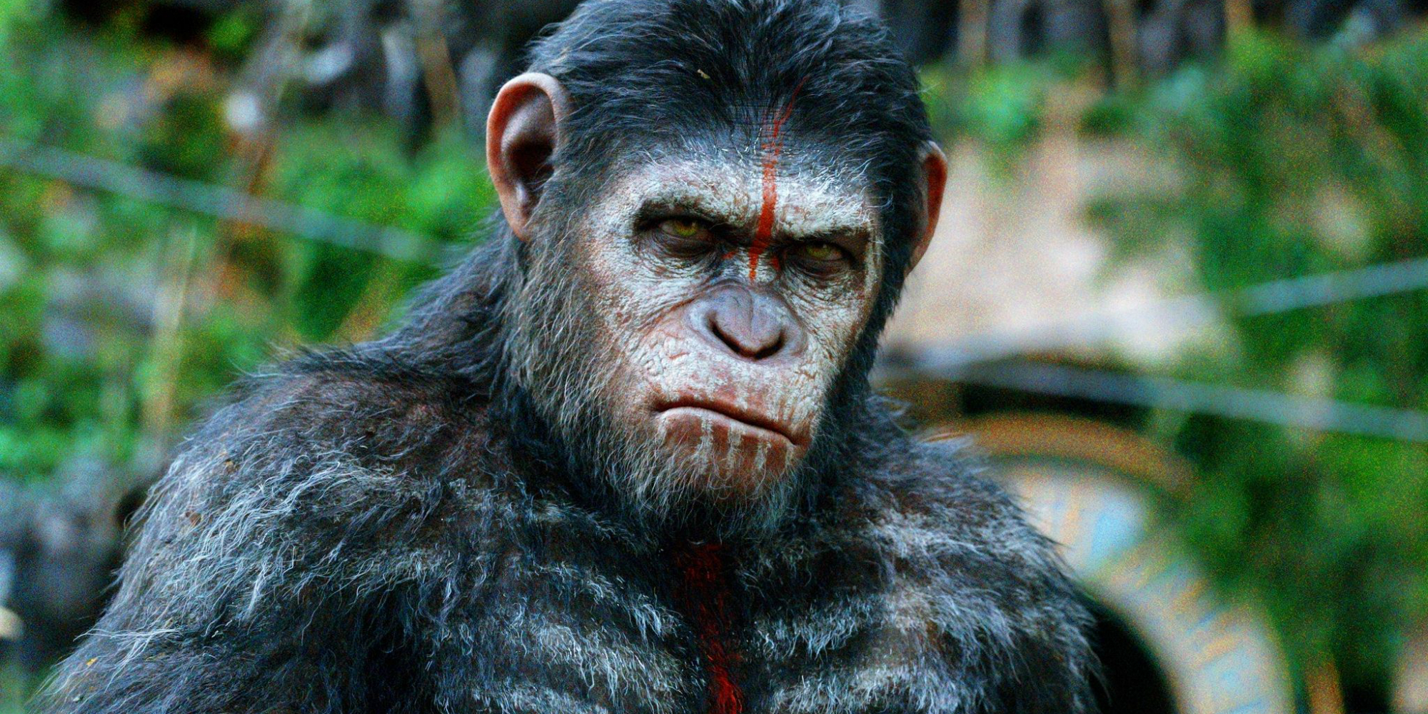 2000x1000 > War For The Planet Of The Apes Wallpapers