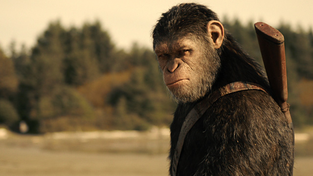 Amazing War For The Planet Of The Apes Pictures & Backgrounds