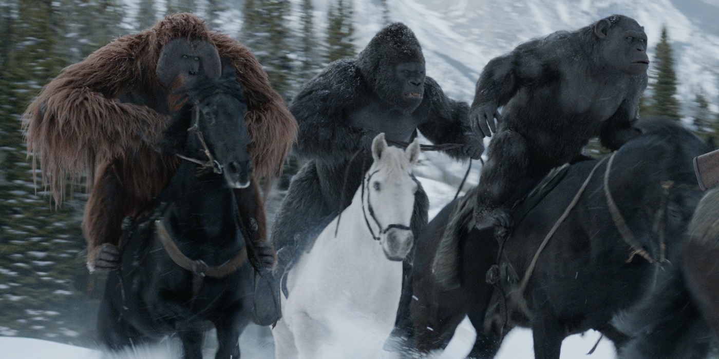 War For The Planet Of The Apes HD wallpapers, Desktop wallpaper - most viewed