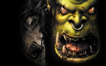 Images of Warcraft III: Reign Of Chaos | 350x219