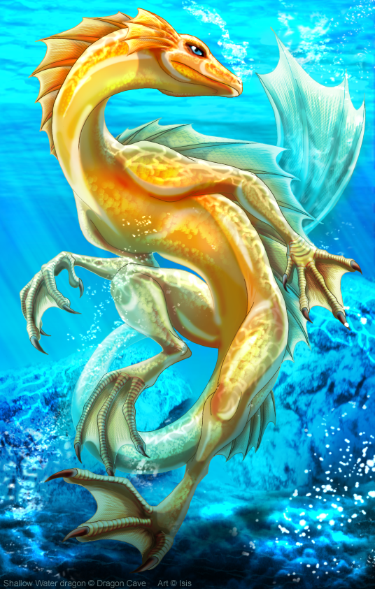 Water Dragon #23