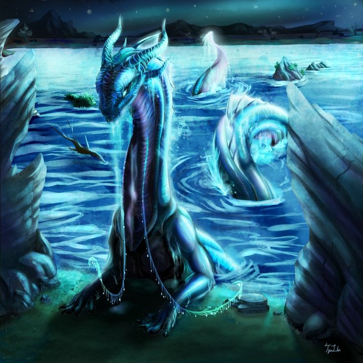 Water Dragon #16
