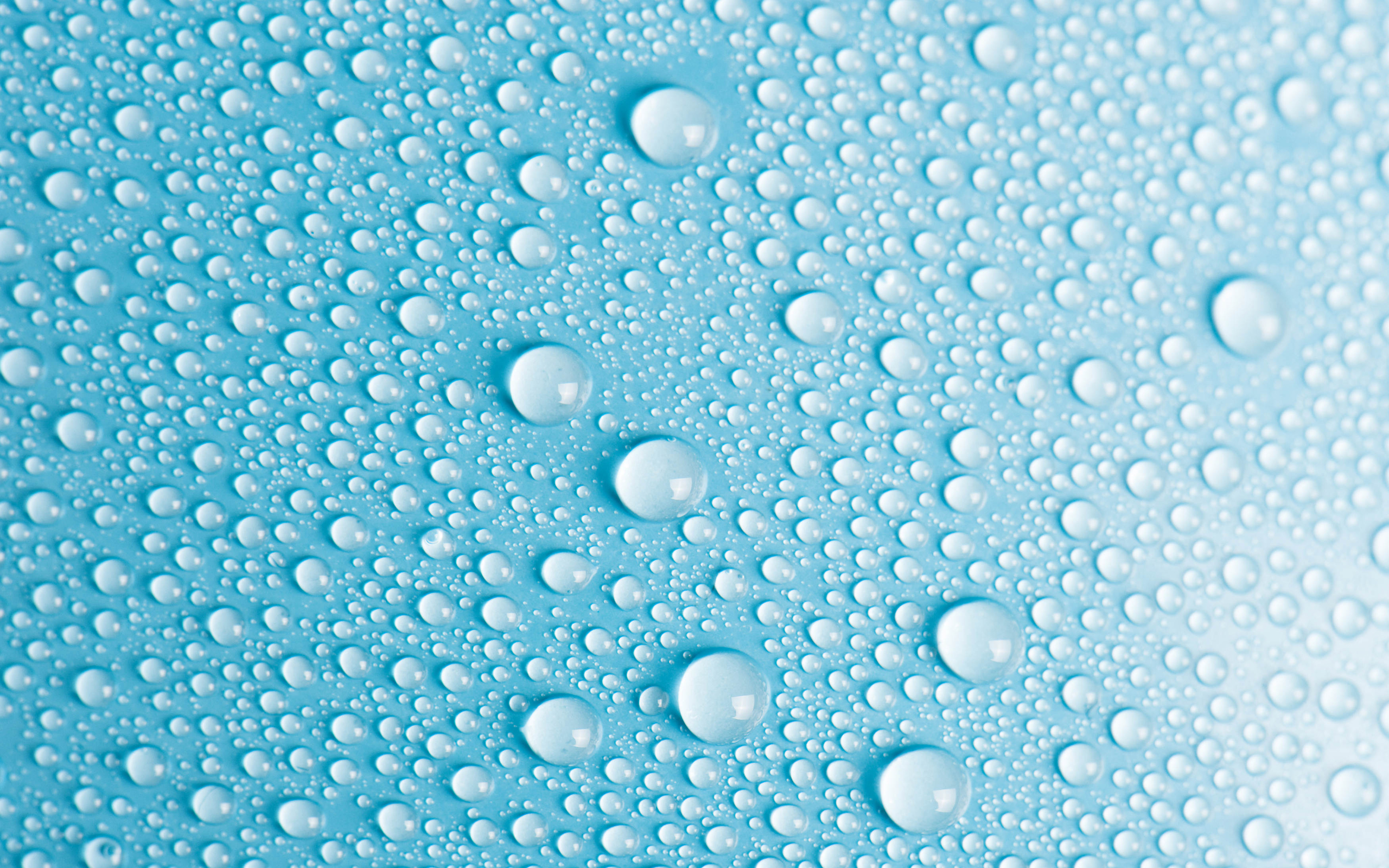 High Resolution Wallpaper | Water Drops 2560x1600 px
