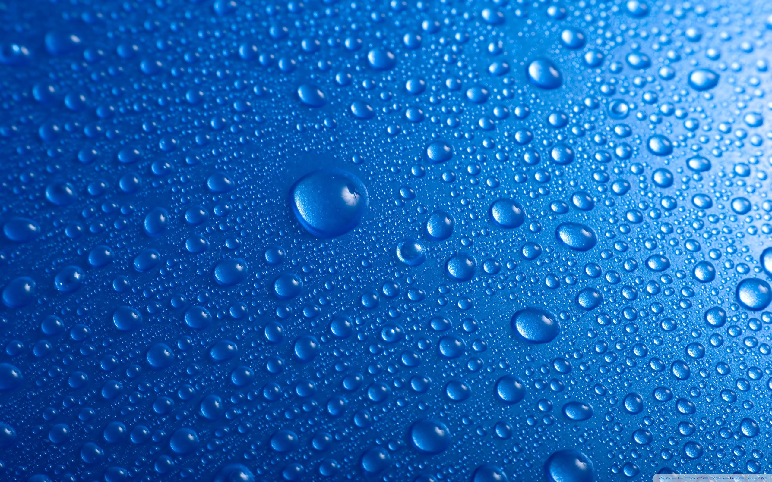 Images of Water Drops | 2560x1600
