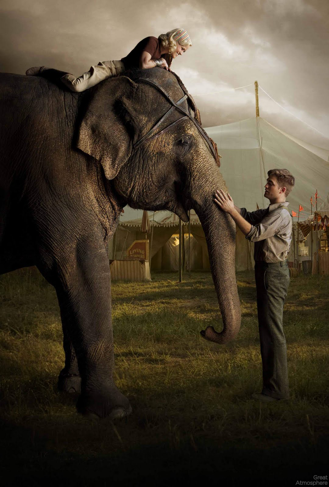High Resolution Wallpaper | Water For Elephants 1080x1600 px