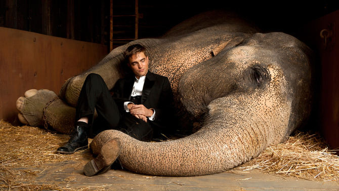 Water For Elephants Backgrounds on Wallpapers Vista