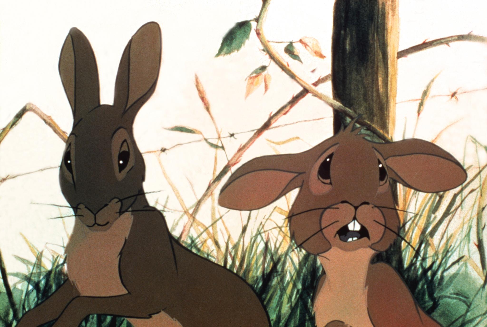 Watership Down Backgrounds on Wallpapers Vista