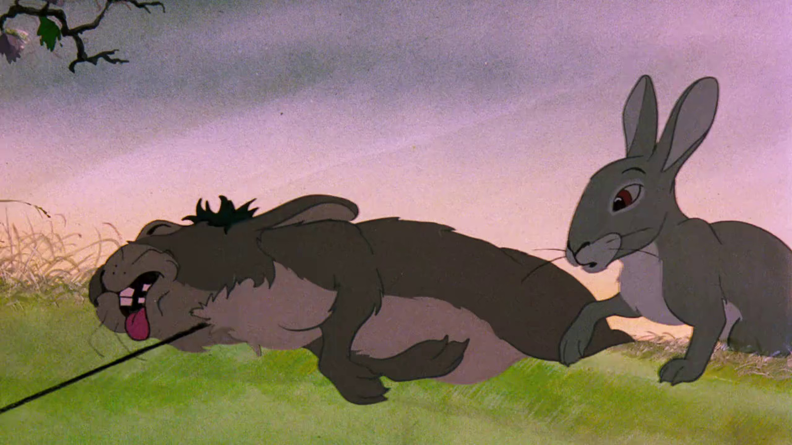 Watership Down Pics, Movie Collection
