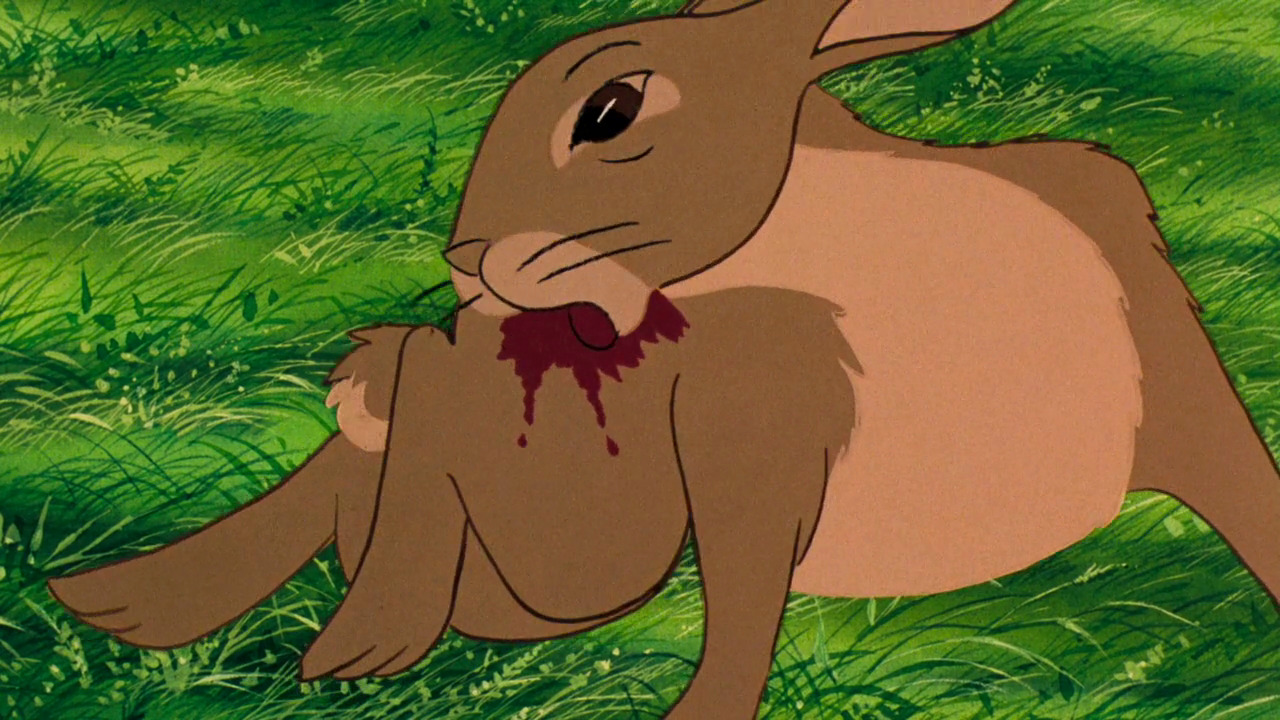 Watership Down Backgrounds, Compatible - PC, Mobile, Gadgets| 1280x720 px