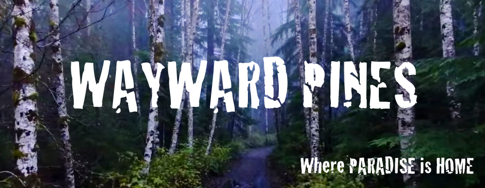 Images of Wayward Pines | 1000x387
