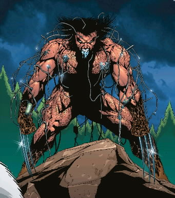 Wolverine: Weapon X #12