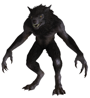 Werewolf #8