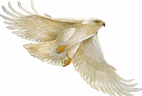 Images of White Eagle | 459x313