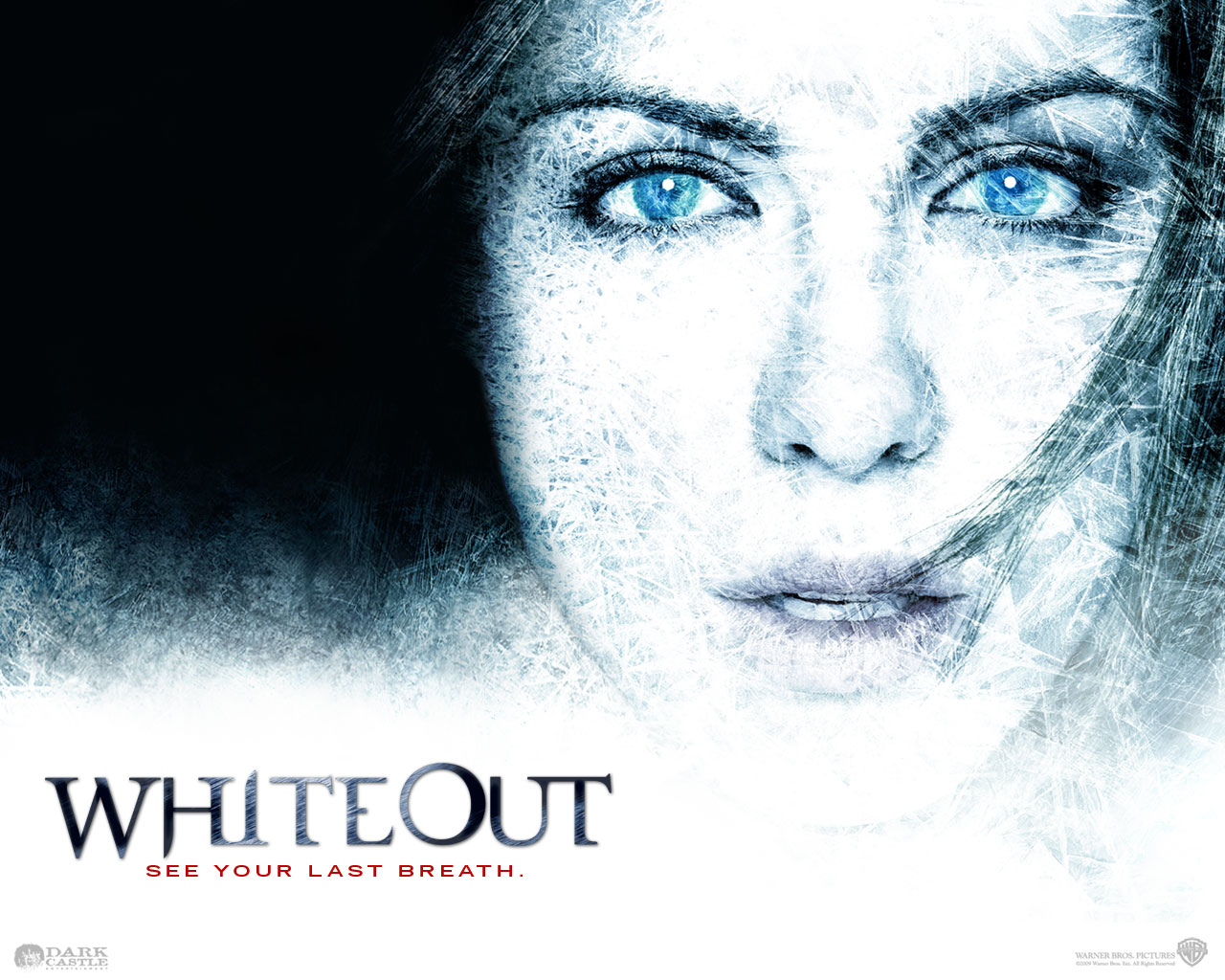 Whiteout #20