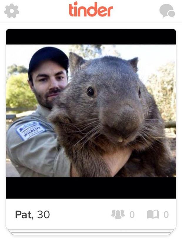 Whopping Wombat #12
