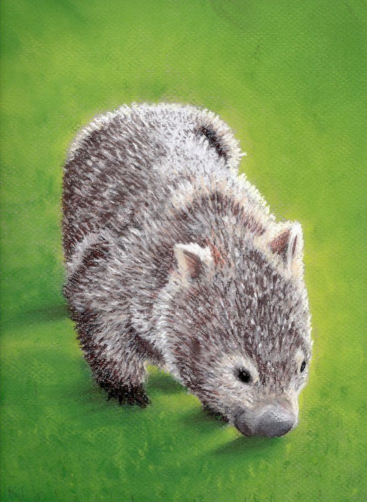Whopping Wombat #6