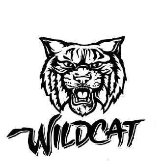 Wildcat #14
