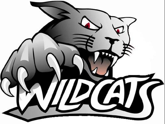 Wildcats #12