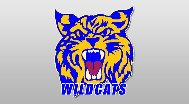 HQ Wildcats Wallpapers | File 129.32Kb