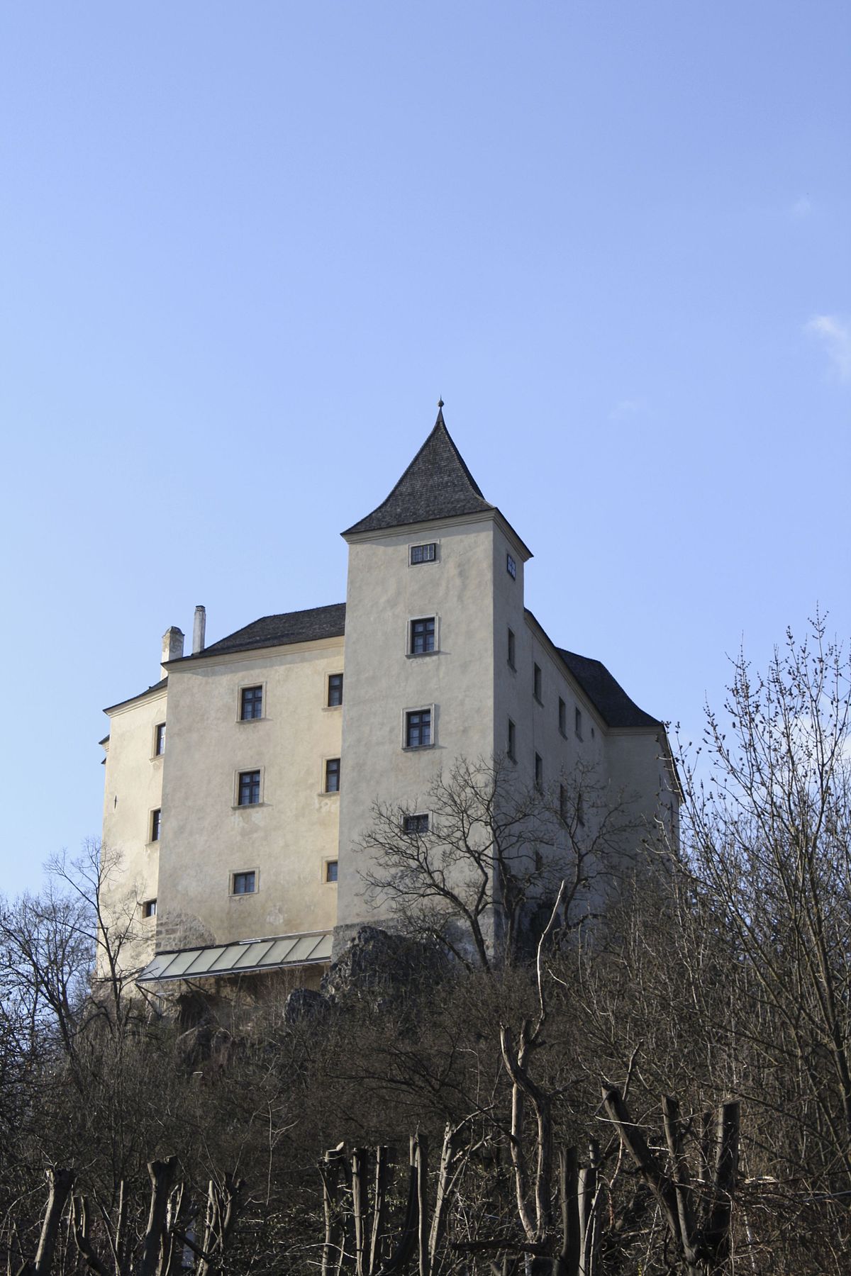 Wildegg Castle #3