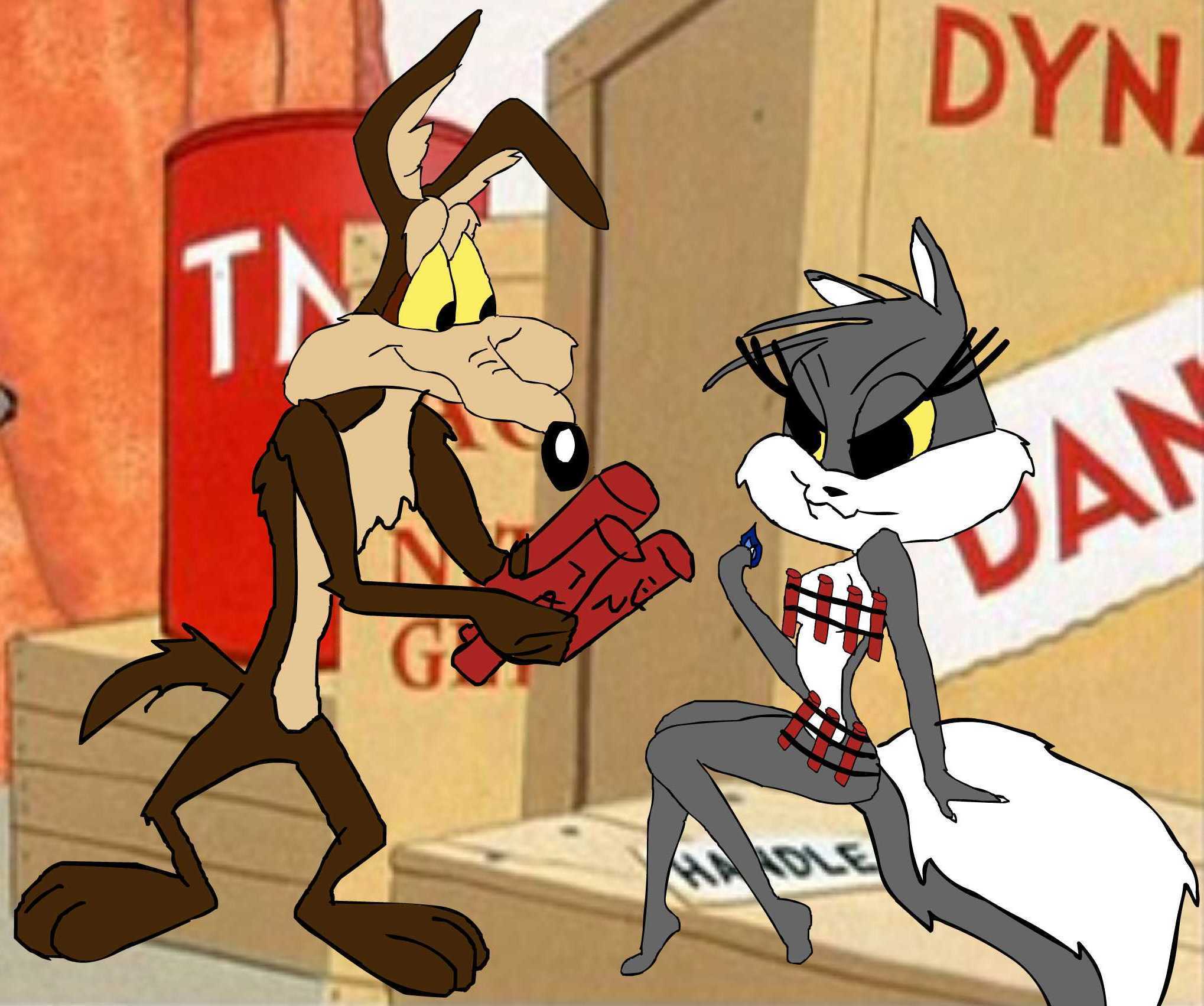 Wile E Coyote HD wallpapers, Desktop wallpaper - most viewed