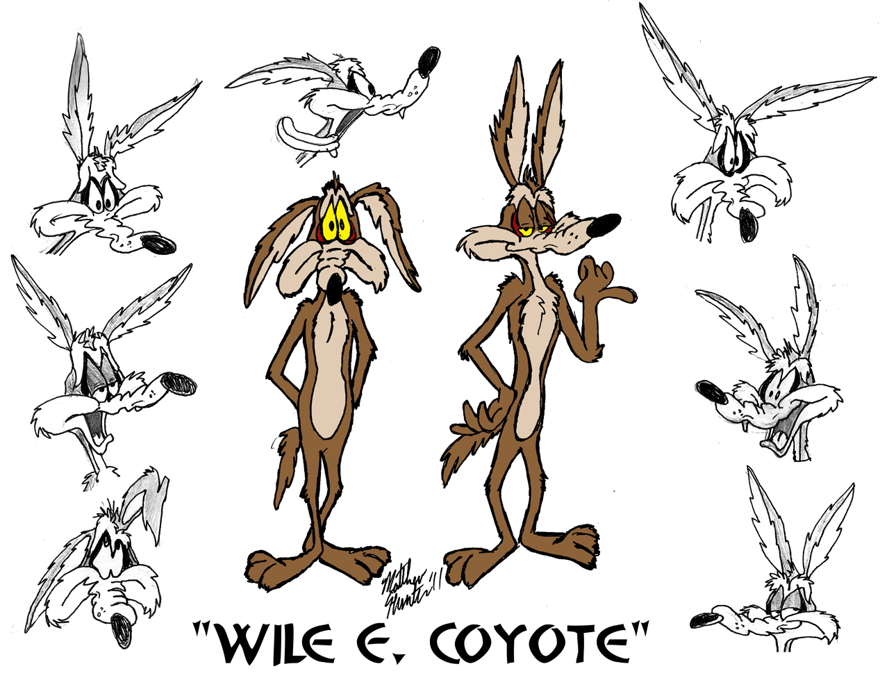 Wile E Coyote #7